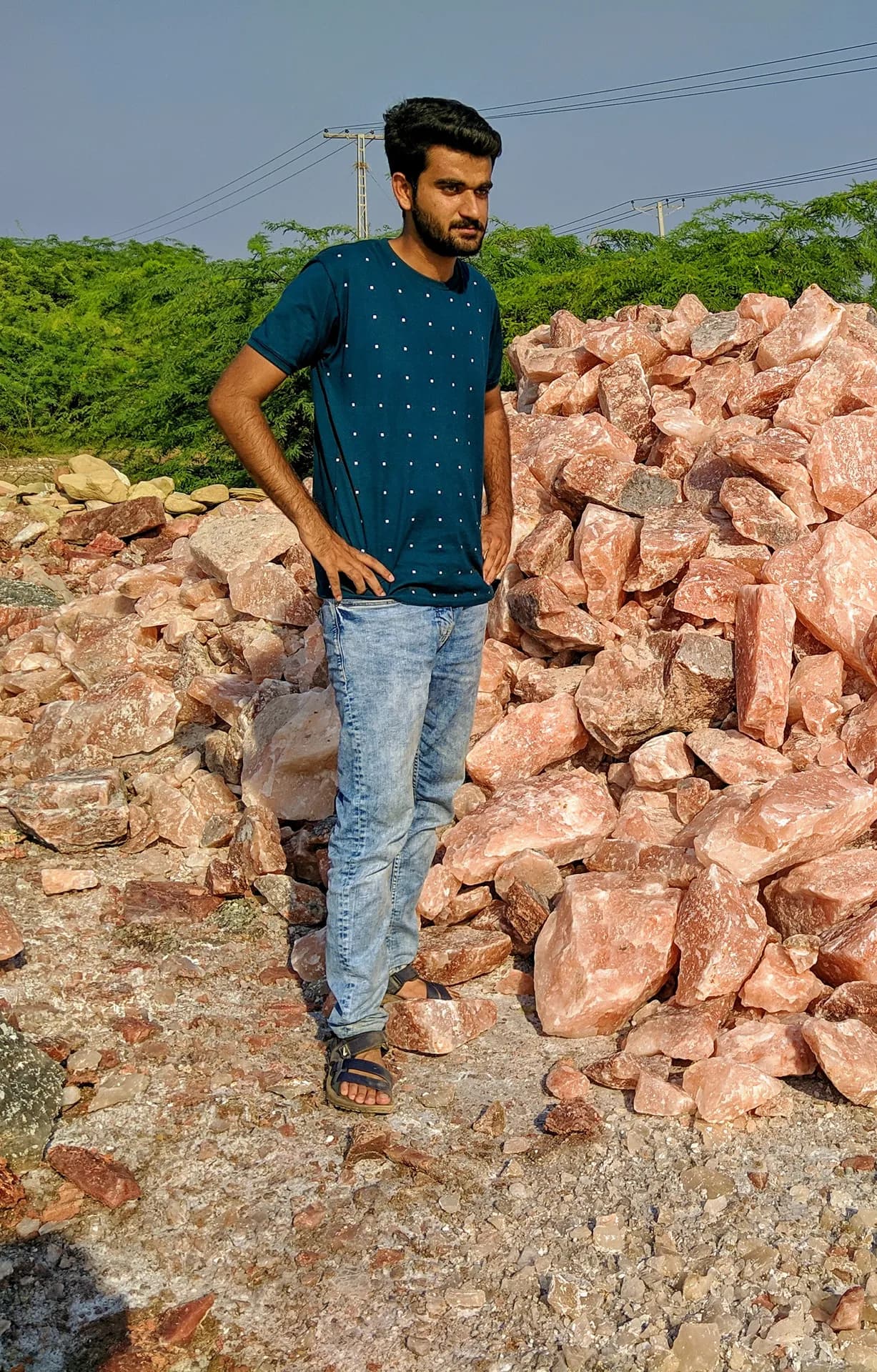 Animal lick salt blocks loaded for North America