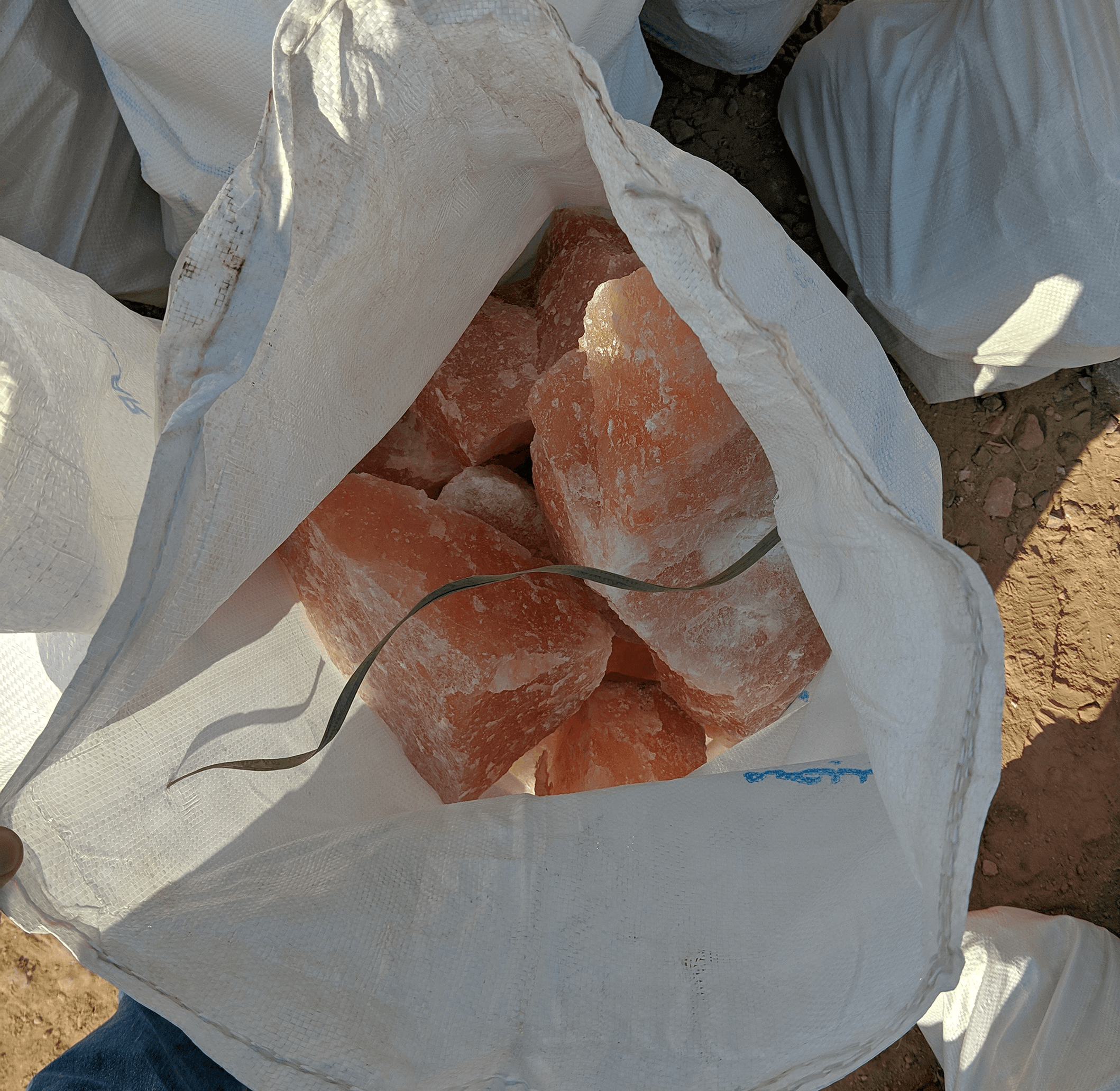 Bulk edible salt bags staged at warehouse.